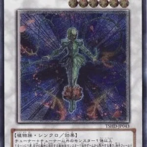 Yu-Gi-Oh! TSHD-JP Splendid Rose (V.2 - Ultimate Rare)