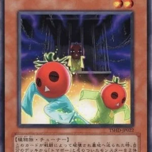 Yu-Gi-Oh! TSHD-JP Cherry Inmato