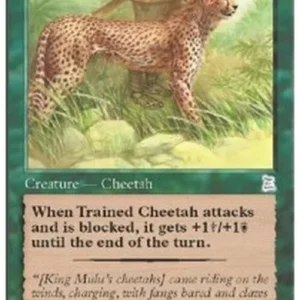 Magic: The Gathering Trained Cheetah