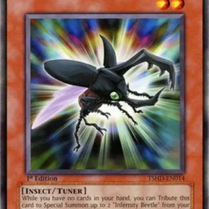 Yu-Gi-Oh! TSHD Infernity Beetle