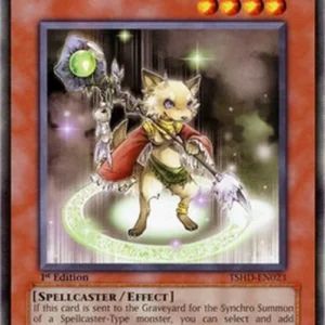 Yu-Gi-Oh! TSHD Magidog