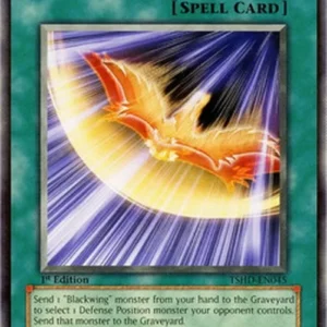 Yu-Gi-Oh! TSHD Black-Winged Strafe