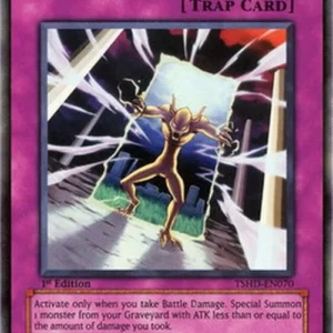 Yu-Gi-Oh! TSHD Damage Gate