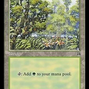 Magic: The Gathering Forest