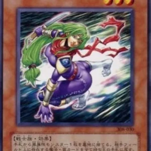 Yu-Gi-Oh! 308 Lady Ninja Yae
