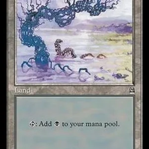 Magic: The Gathering Swamp