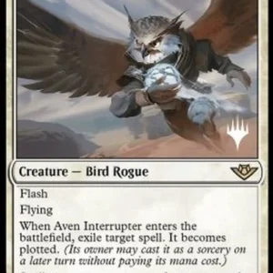 Magic: The Gathering Aven Interrupter (V.2)