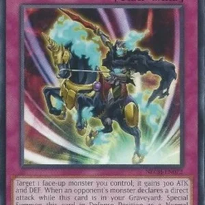 Yu-Gi-Oh! NECH The Phantom Knights of Shadow Veil