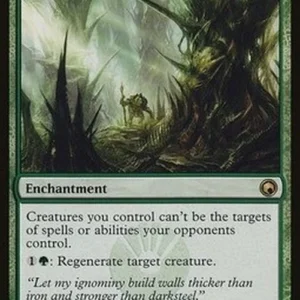 Magic: The Gathering Asceticism