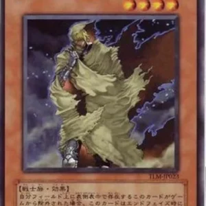 Yu-Gi-Oh! TLM-JP D.D. Survivor