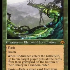 Magic: The Gathering Endurance
