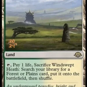 Magic: The Gathering Windswept Heath