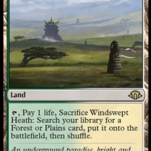 Magic: The Gathering Windswept Heath