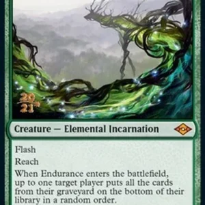 Magic: The Gathering Endurance