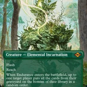 Magic: The Gathering Endurance