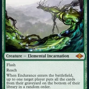 Magic: The Gathering Endurance