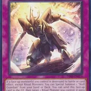 Yu-Gi-Oh! INFO Guardian of the Voiceless Voice