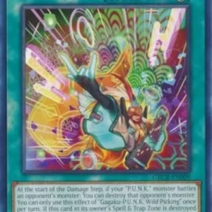 Yu-Gi-Oh! GRCR Gagaku-P.U.N.K. Wild Picking