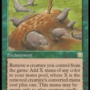 Magic: The Gathering Food Chain