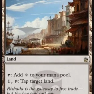 Magic: The Gathering Rishadan Port
