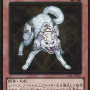 Yu-Gi-Oh! GDB1 Ryko, Lightsworn Hunter