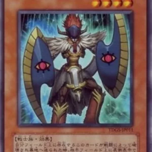 Yu-Gi-Oh! TDGS-JP Twin-Shield Defender
