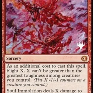 Magic: The Gathering Soul Immolation