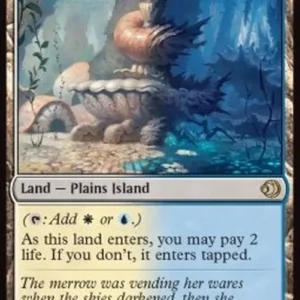 Magic: The Gathering Hallowed Fountain