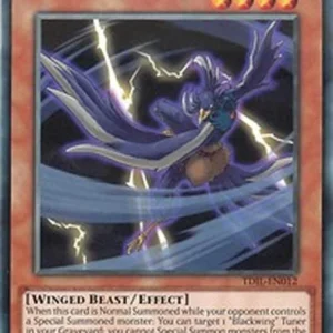 Yu-Gi-Oh! TDIL Blackwing - Tornado the Reverse Wind