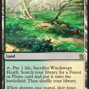 Magic: The Gathering Windswept Heath