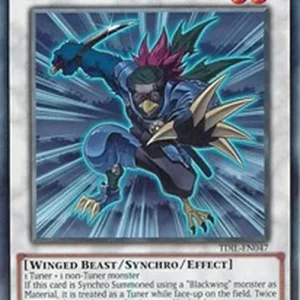 Yu-Gi-Oh! TDIL Assault Blackwing - Sayo the Rain Hider