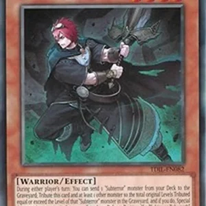 Yu-Gi-Oh! TDIL Subterror Nemesis Warrior (V.1 - Rare)