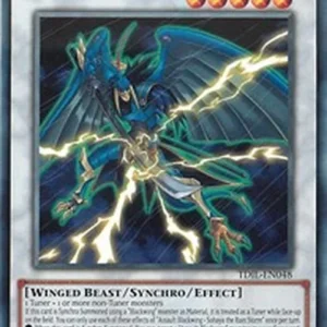 Yu-Gi-Oh! TDIL Assault Blackwing - Sohaya the Rain Storm