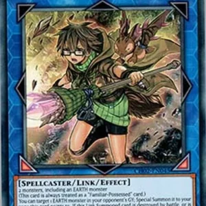 Yu-Gi-Oh! CH02 Aussa the Earth Charmer, Immovable