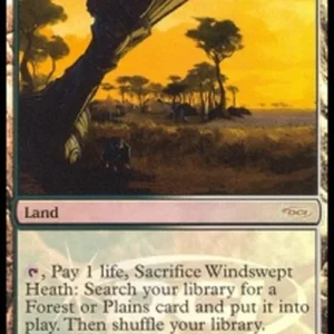 Magic: The Gathering Windswept Heath