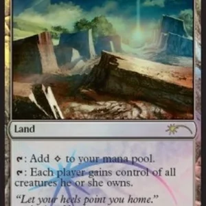 Magic: The Gathering Homeward Path