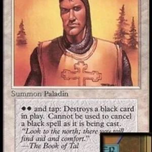 Magic: The Gathering Northern Paladin