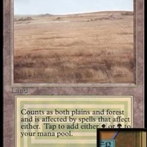 Magic: The Gathering Savannah