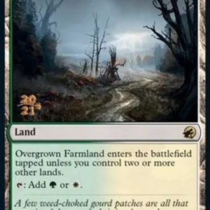 Magic: The Gathering Overgrown Farmland (V.1)