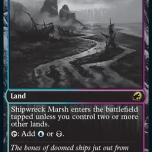 Magic: The Gathering Shipwreck Marsh