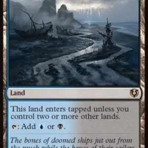 Magic: The Gathering Shipwreck Marsh