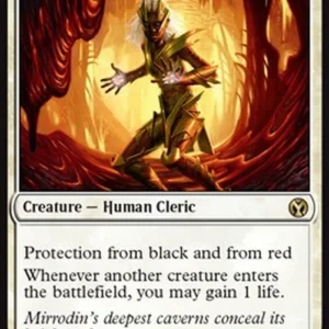 Magic: The Gathering Auriok Champion