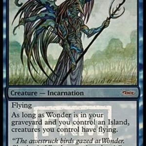 Magic: The Gathering Wonder