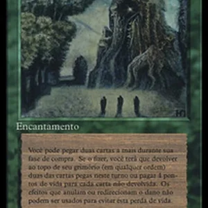 Magic: The Gathering Sylvan Library