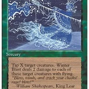 Magic: The Gathering Winter Blast