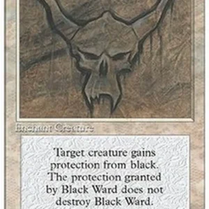 Magic: The Gathering Black Ward