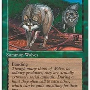 Magic: The Gathering Timber Wolves