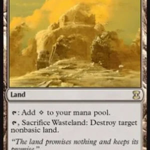 Magic: The Gathering Wasteland