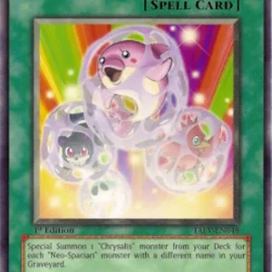 Yu-Gi-Oh! TAEV Cocoon Party