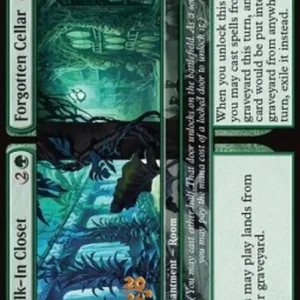 Magic: The Gathering Walk-In Closet // Forgotten Cellar (V.1)